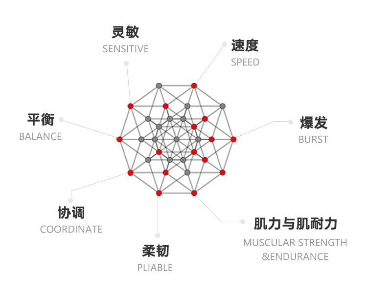 综合体能训练课程 - 开元体育官方网站入口